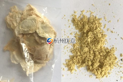 如何利用宋慈高通量多樣品組織研磨儀研磨植物組織？