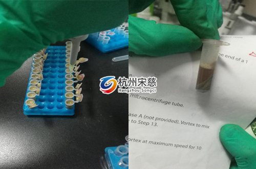 <a href=http://www.ios-club.cn/prouduct/lengdong/ target=_blank class=infotextkey>冷凍研磨儀</a>