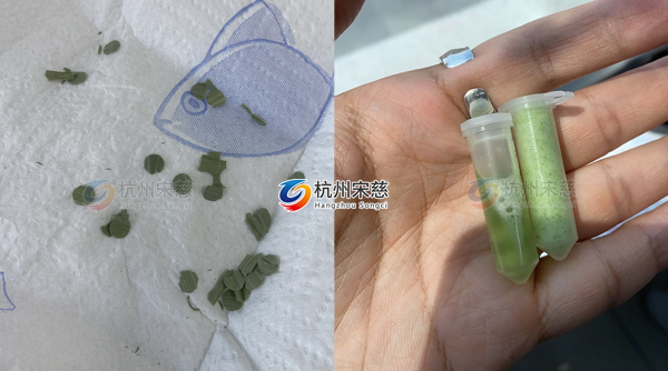 利用高通量組織研磨儀快速高效率實(shí)現(xiàn)植物干葉片研磨實(shí)驗(yàn)